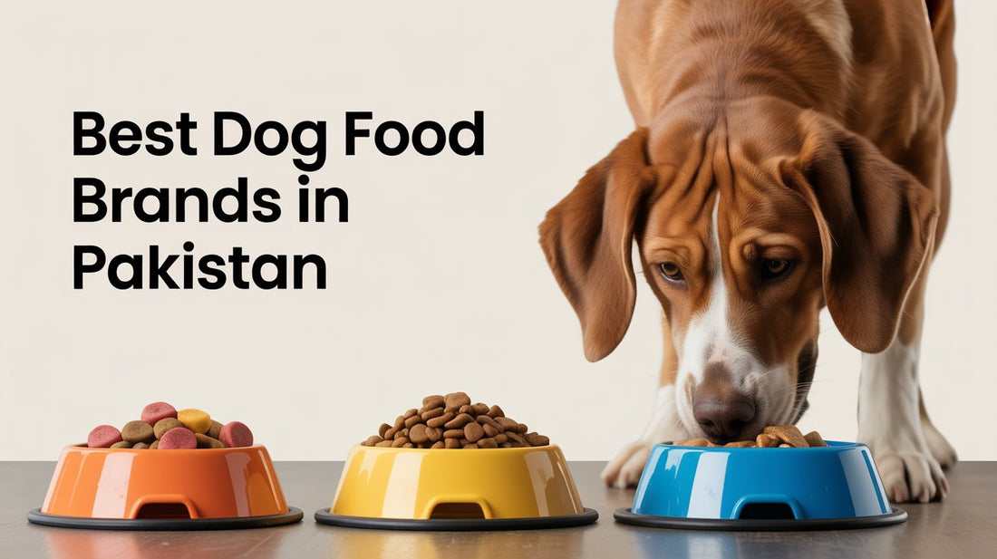 Best Dog Food Brands In Pakistan