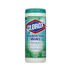 Clorox Disinfecting Fresh Scent 35 Wipes