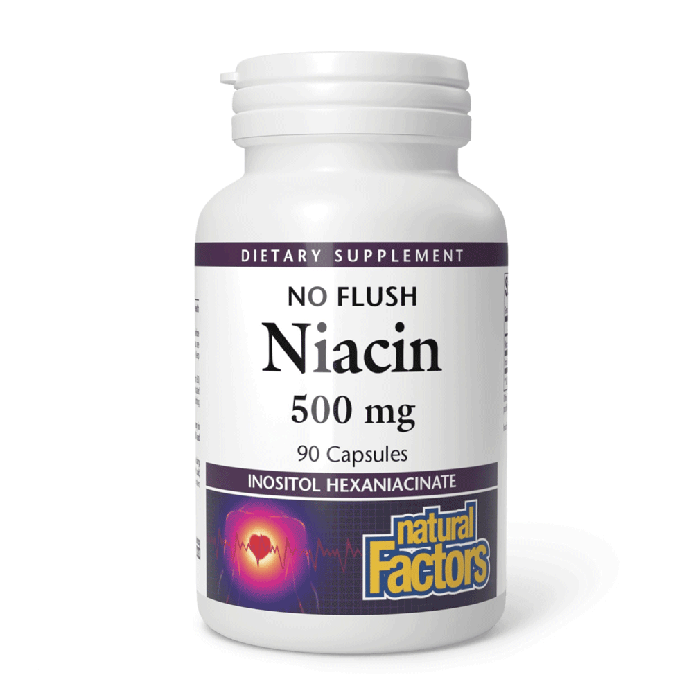 Natural Factors Niacin 500mg Cap 90s