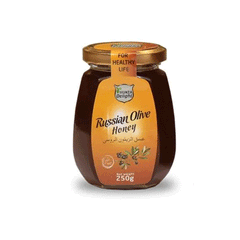 Hunza Delight Organic Russian Olive Honey 225gm