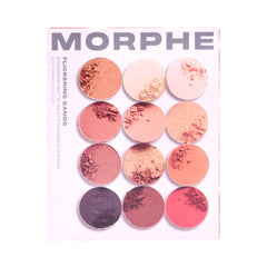 Morphe Eyeshadow Palette 15gm