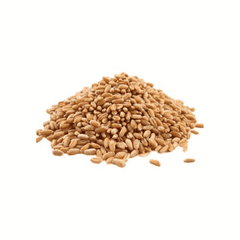 Springs Gundum 1kg