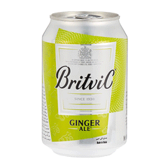 Britvic Ginger Ale Can 330ml