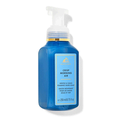Bath & Body Works Crisp Morning Air Hand Wash 259ml