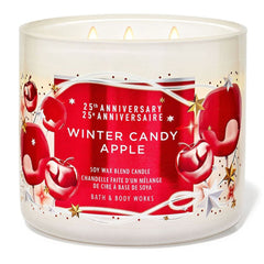 Bath & Body Work Winter Soy Wax Blend Candle 411g