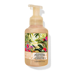 Bath & Body Works Dragonfruit & Palm Leaves Hand Wash 259ml