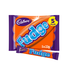 Cadbury Fudge 5x22g