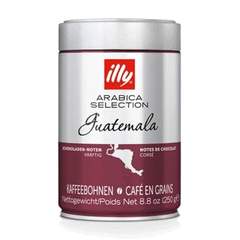 illy Arabica Selection Guatemala Coffee Bean Tin 250g