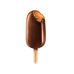 Igloo Eclair Ice Cream Stick 65ml