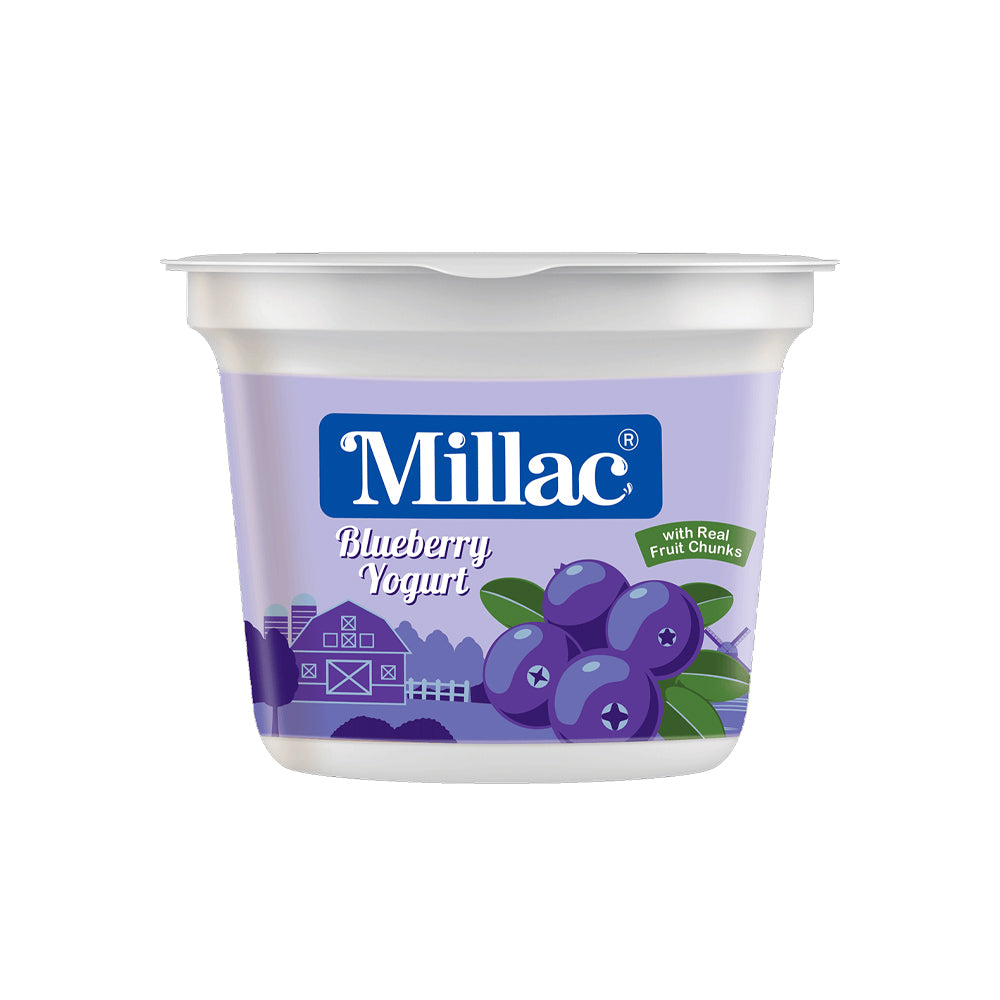 Millac Yogurt Blueberry 100gm