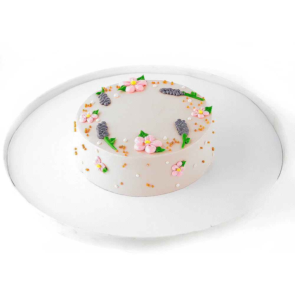 Springs Bento Cake 1.25 Lbs