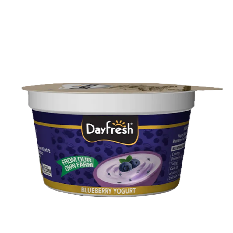 Dayfresh Fruit Yogurt Blueberry 100g