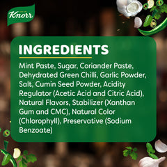 Knorr Green Chutney Pouch 400g