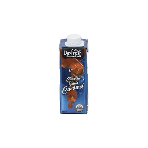 Dayfresh Chocolate Salted Caramel Milk 225ml