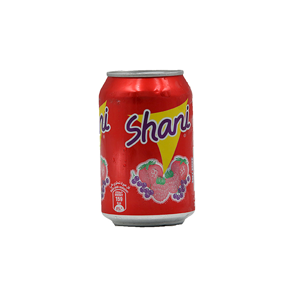 Shani Fruit Flavor Drink 300ml