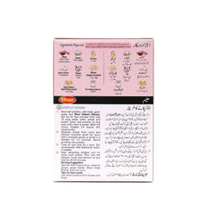 Shan Haleem Mix 100g