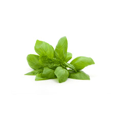 Springs Basil leaves / PKT