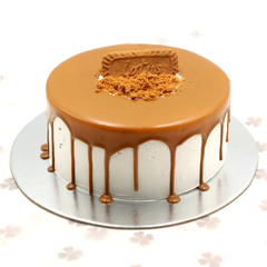 Springs Lotus Cake / 1.5