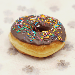 Choclate Sprinkle Donut