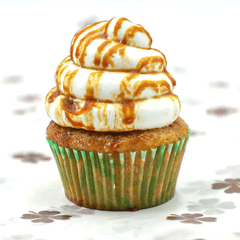 Salted Caramel Cupcake