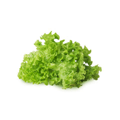 Springs Salad Leaves / PKT