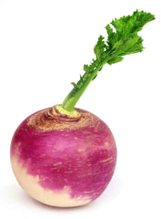 Springs Turnip / KG