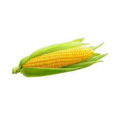 Springs Corn (LOCAL)