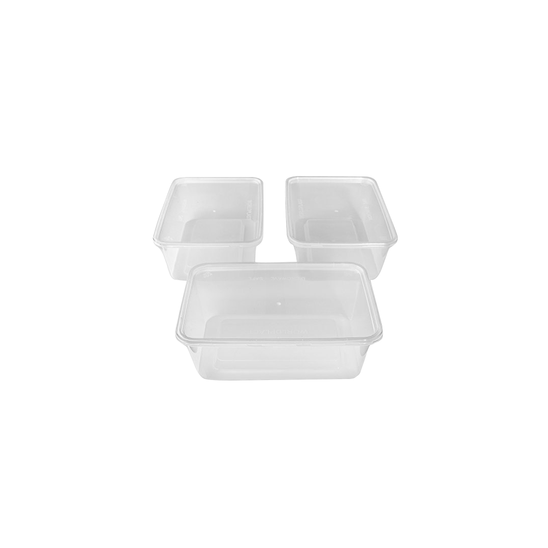 Plastic Food Container Large