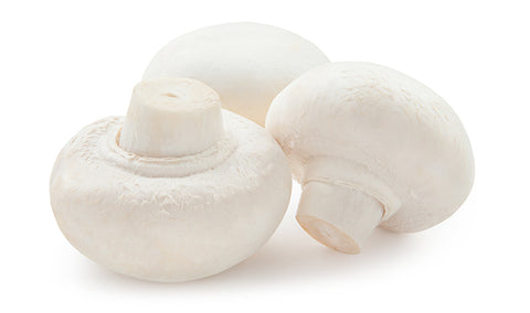 Springs White Mushroom / PKT